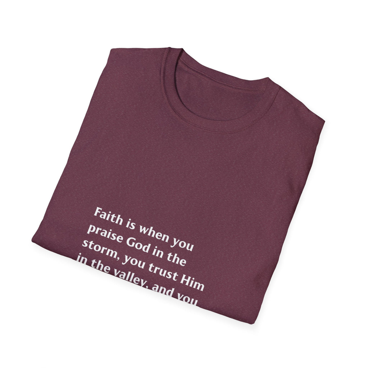 FAITH IS WHEN YOU PRAISE GOD IN THE STORM - TEE