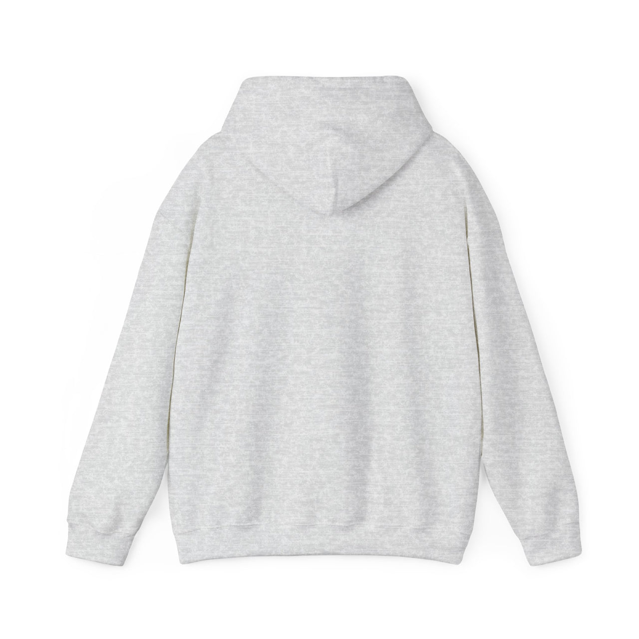SPIRIT HOODIE
