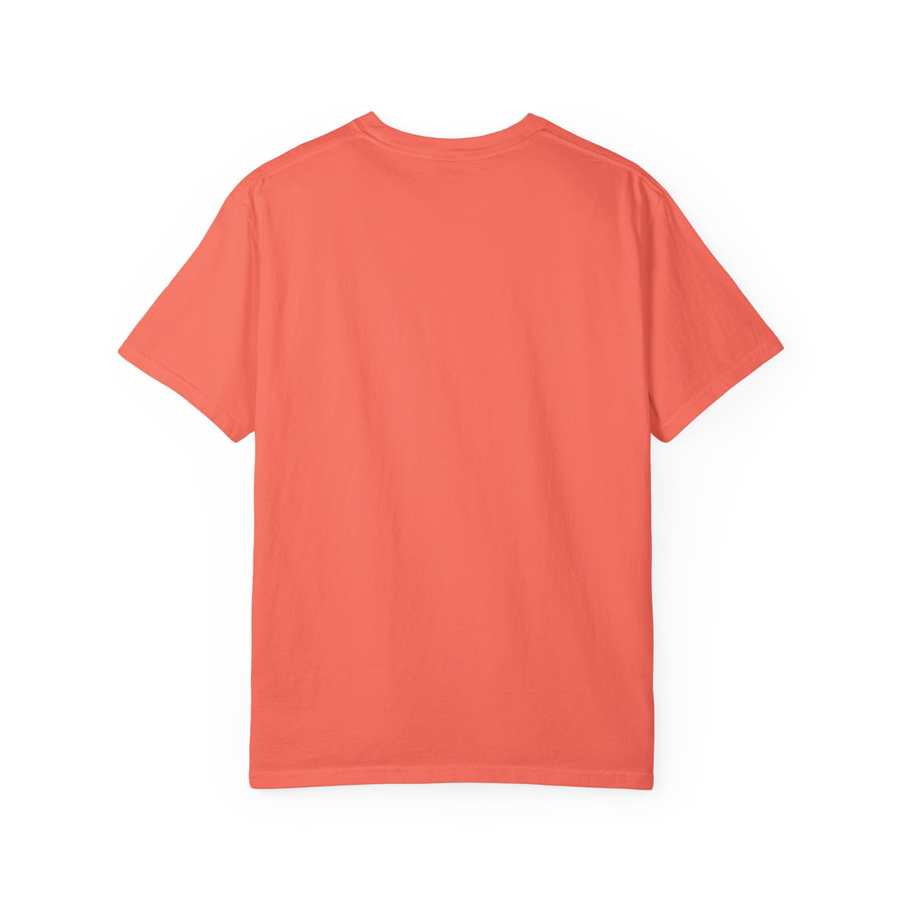 JESUS PROVIDES - TEE