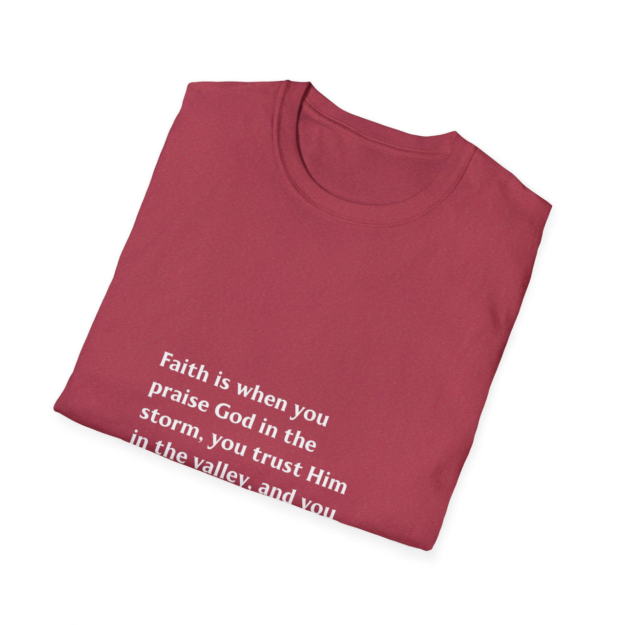 FAITH IS WHEN YOU PRAISE GOD IN THE STORM - TEE