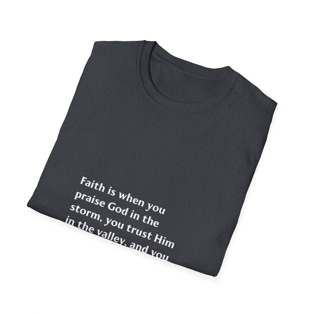 FAITH IS WHEN YOU PRAISE GOD IN THE STORM - TEE