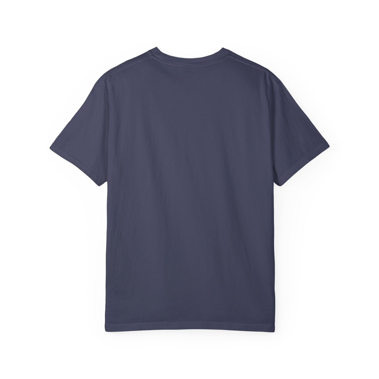 JESUS PROVIDES - TEE