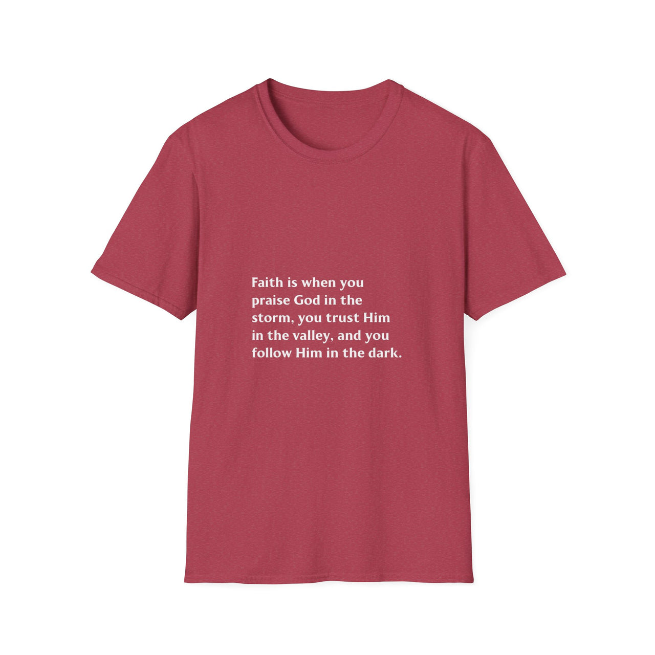FAITH IS WHEN YOU PRAISE GOD IN THE STORM - TEE