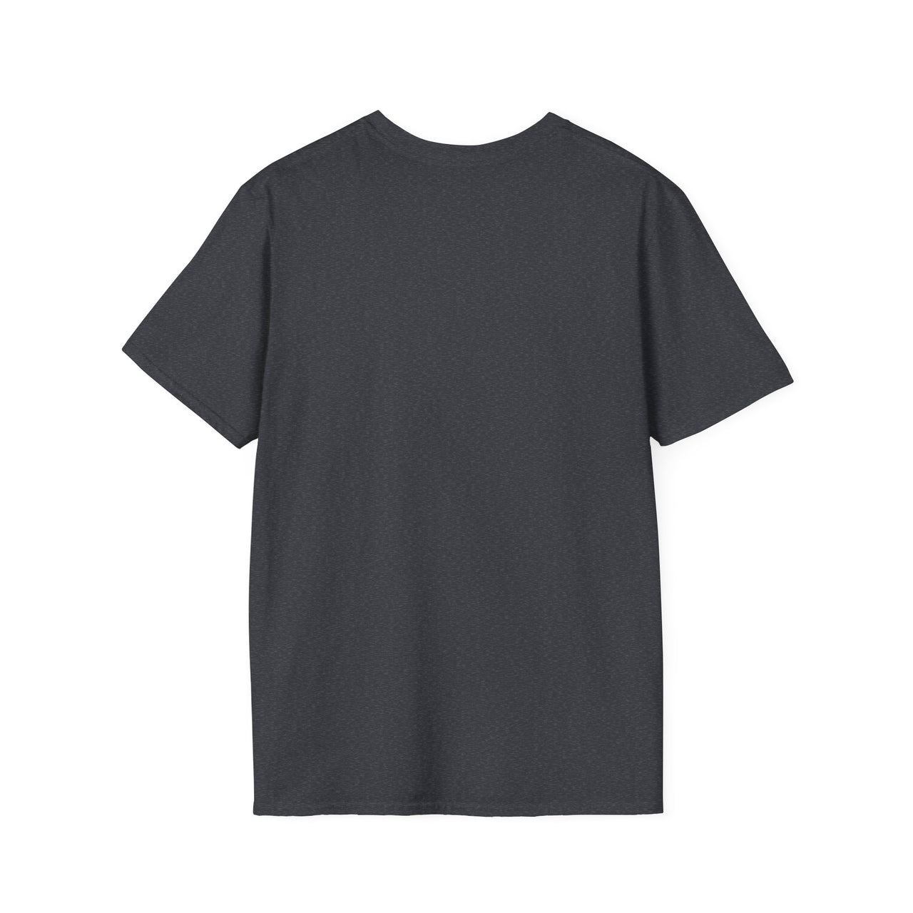 FAITH IS WHEN YOU PRAISE GOD IN THE STORM - TEE